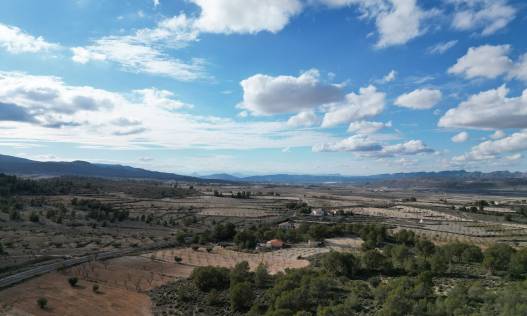Bestaand - Bouwperceel - La Zarza
