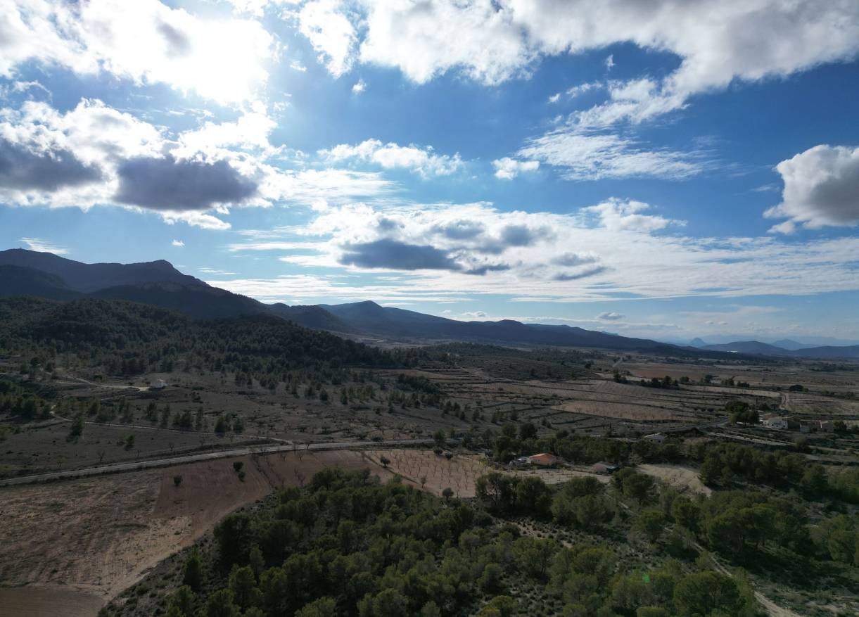 Bestaand - Bouwperceel - La Zarza