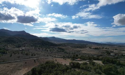 Bestaand - Bouwperceel - La Zarza