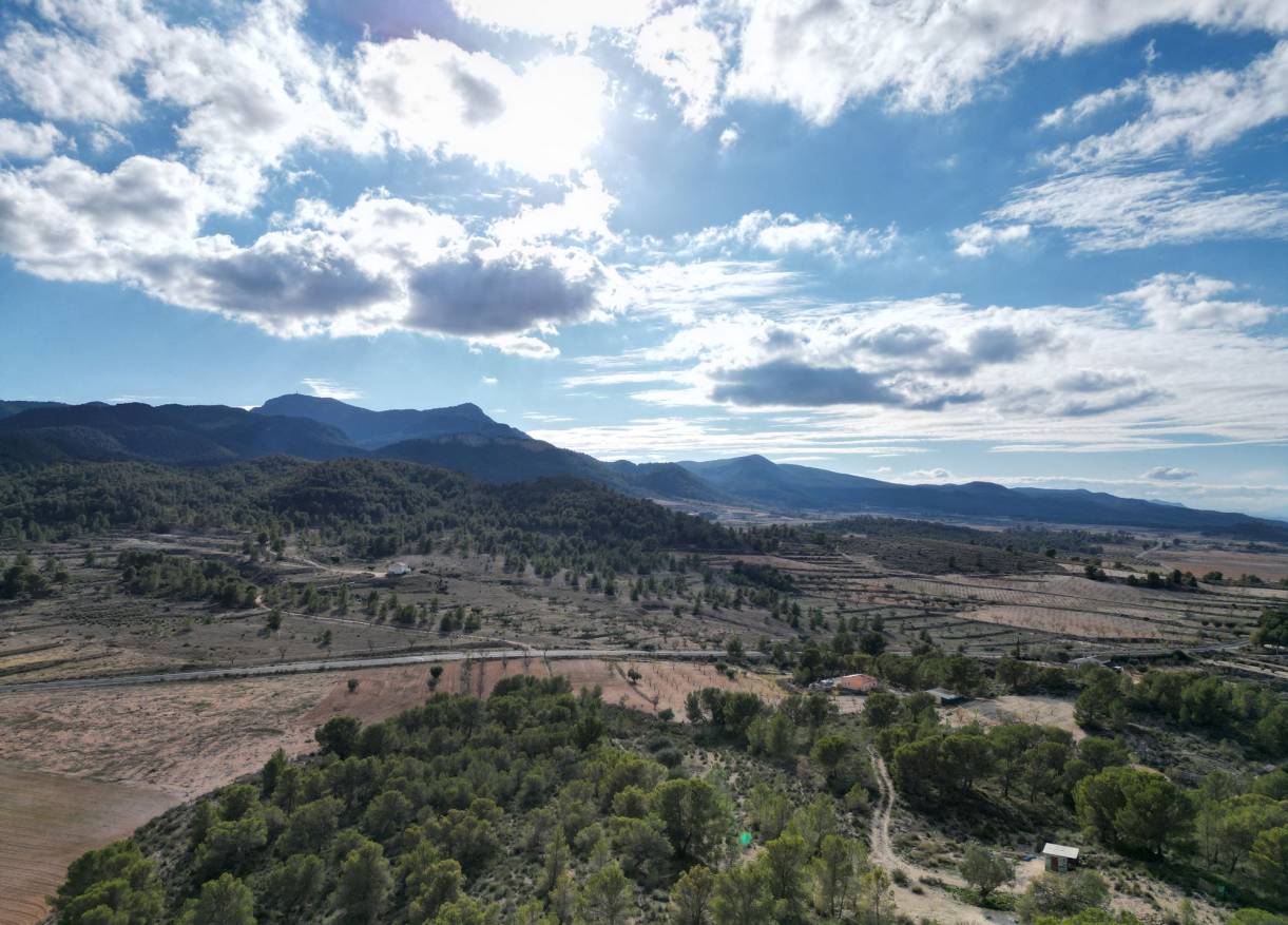 Bestaand - Bouwperceel - La Zarza