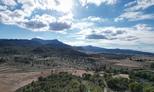 Bestaand - Bouwperceel - La Zarza