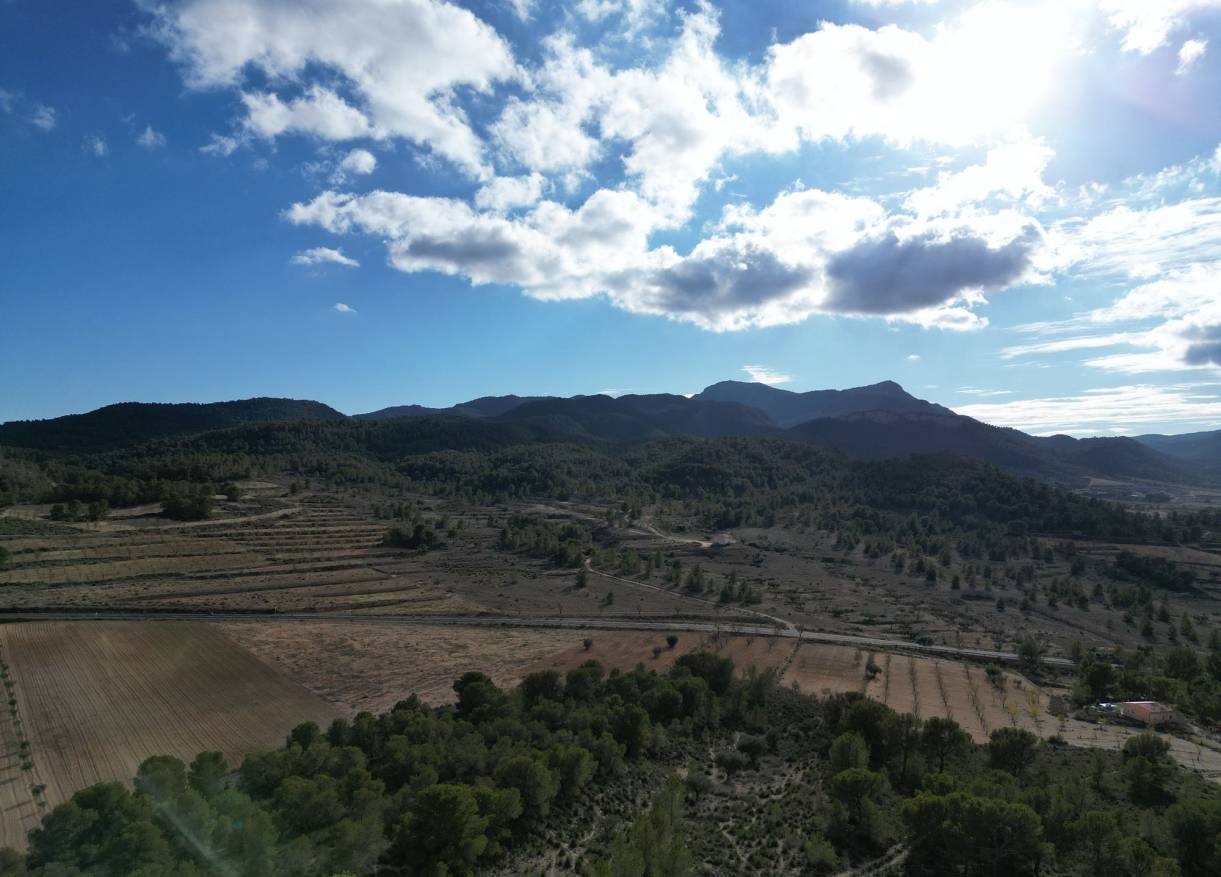 Bestaand - Bouwperceel - La Zarza