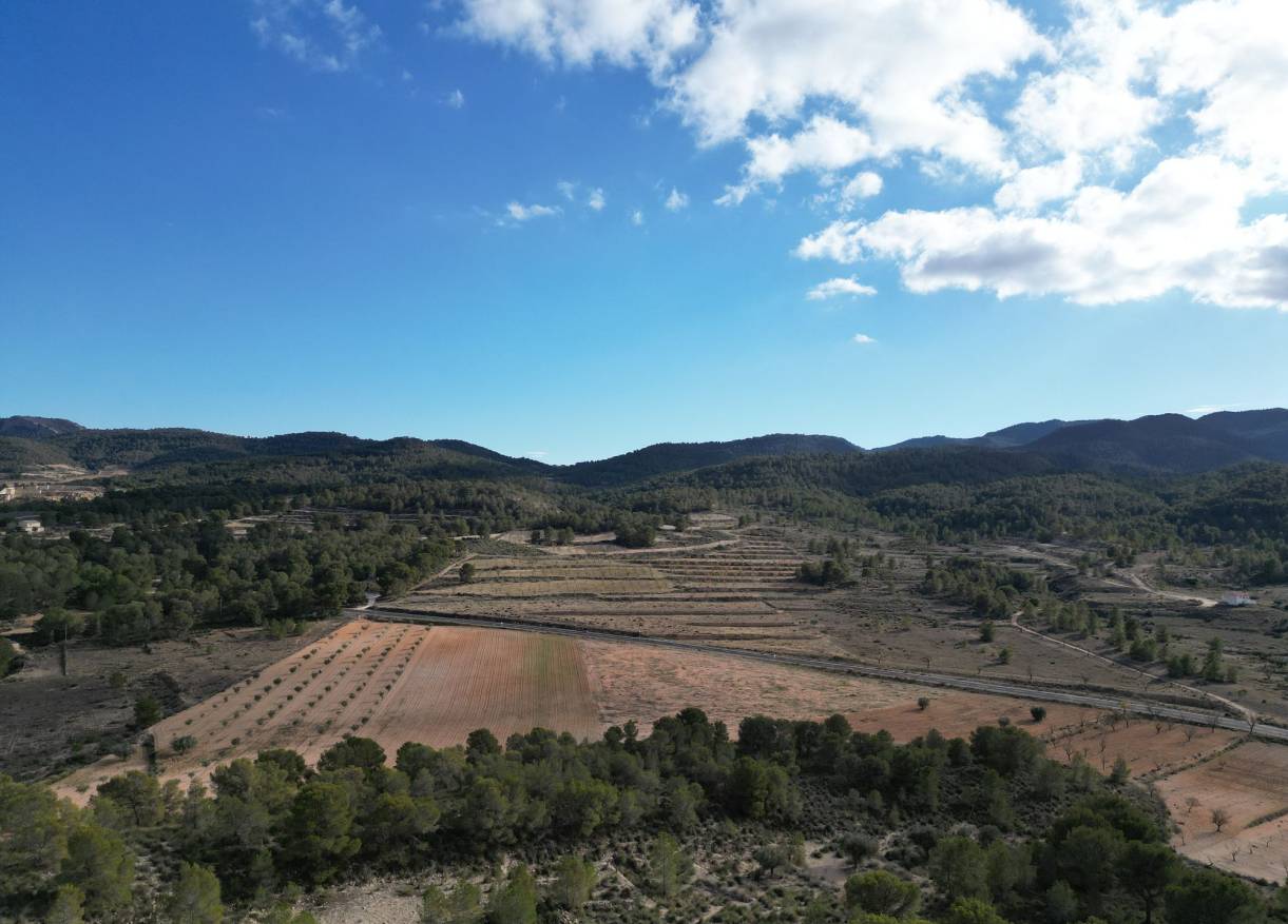Bestaand - Bouwperceel - La Zarza