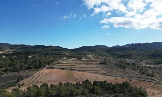 Bestaand - Bouwperceel - La Zarza
