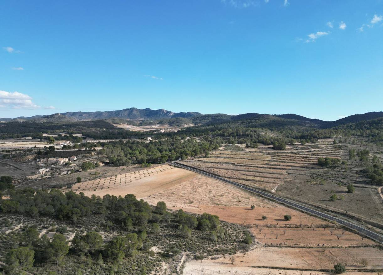 Bestaand - Bouwperceel - La Zarza