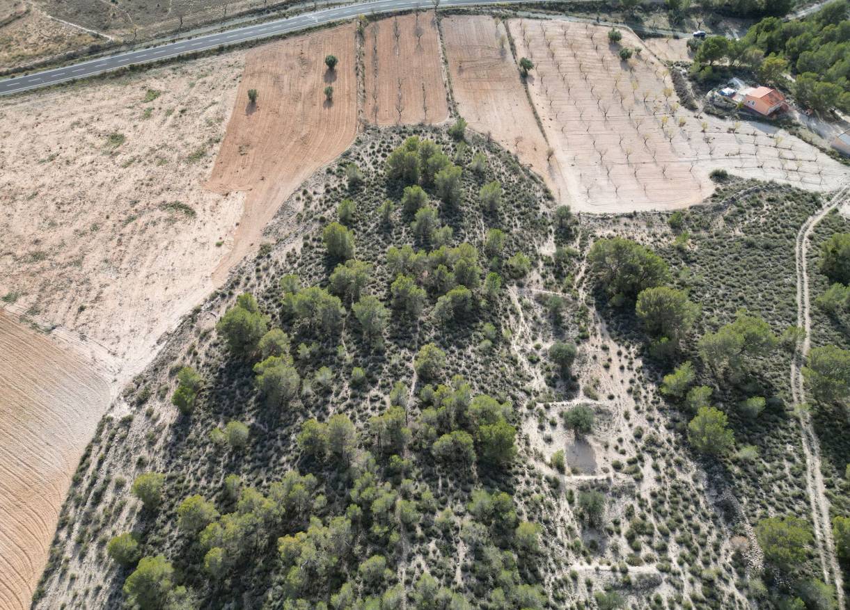 Bestaand - Bouwperceel - La Zarza