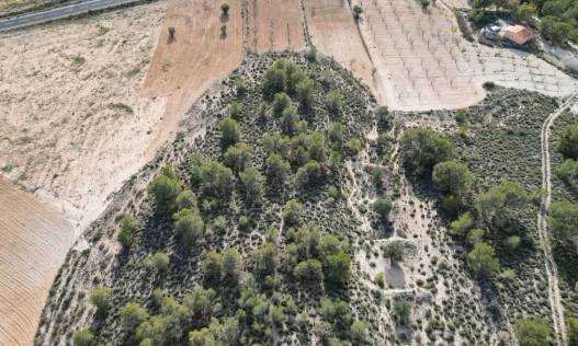 Bestaand - Bouwperceel - La Zarza