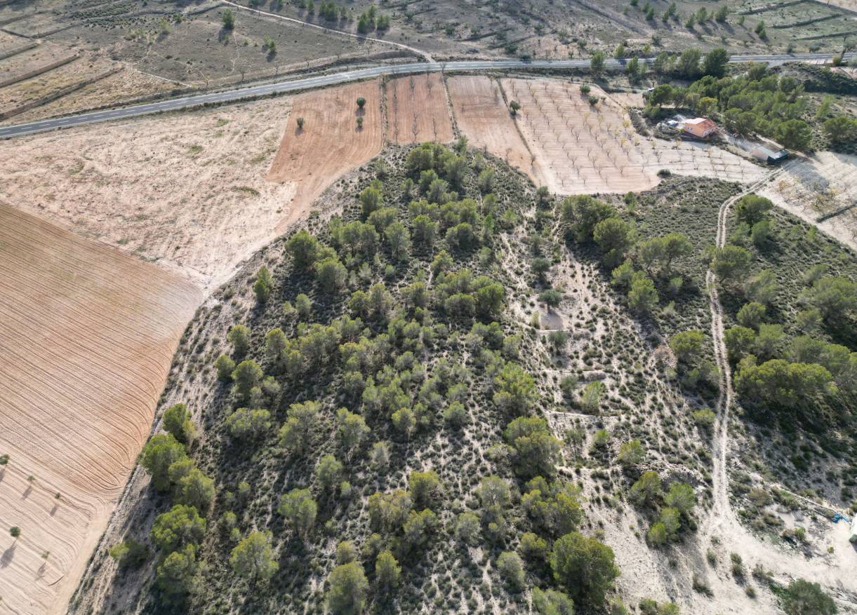 Bestaand - Bouwperceel - La Zarza