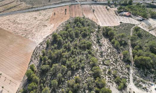 Bestaand - Bouwperceel - La Zarza