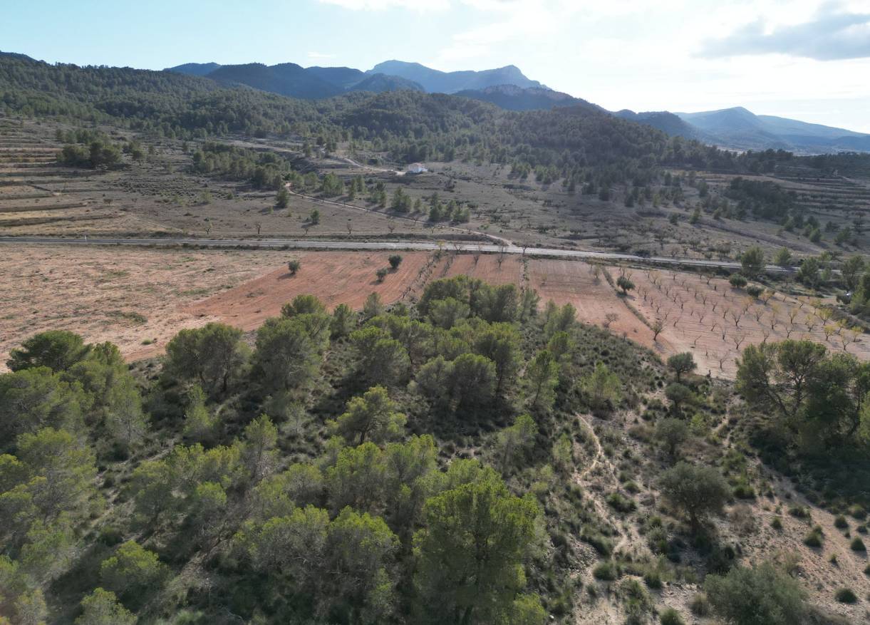 Bestaand - Bouwperceel - La Zarza