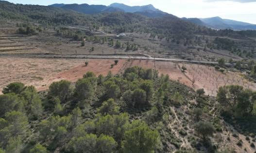 Bestaand - Bouwperceel - La Zarza