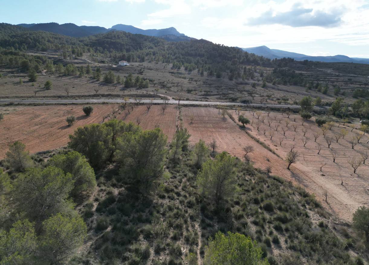 Bestaand - Bouwperceel - La Zarza