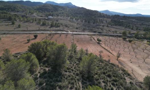 Bestaand - Bouwperceel - La Zarza
