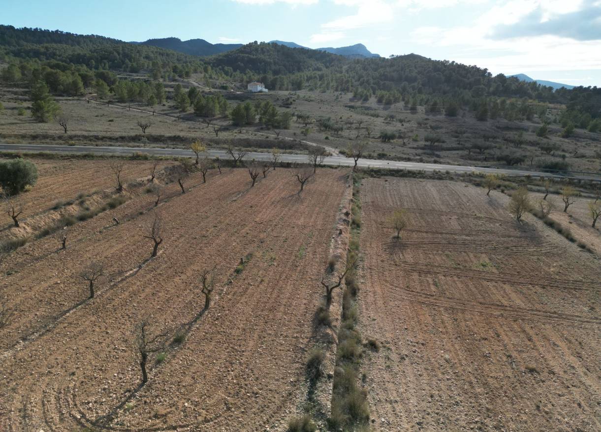 Bestaand - Bouwperceel - La Zarza