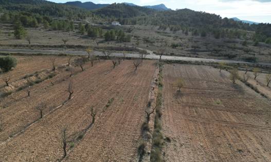 Bestaand - Bouwperceel - La Zarza