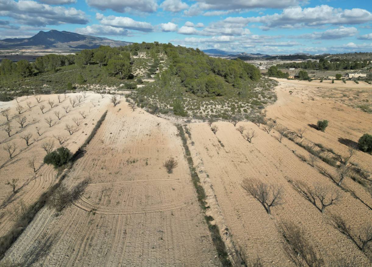 Bestaand - Bouwperceel - La Zarza
