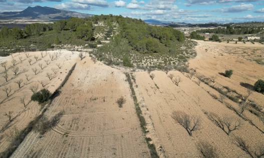 Bestaand - Bouwperceel - La Zarza
