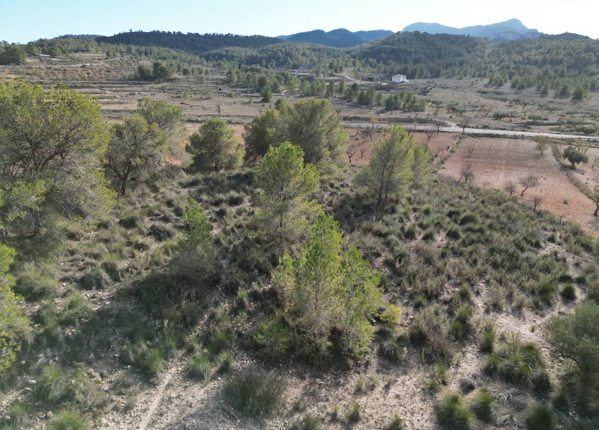 Bestaand - Bouwperceel - La Zarza
