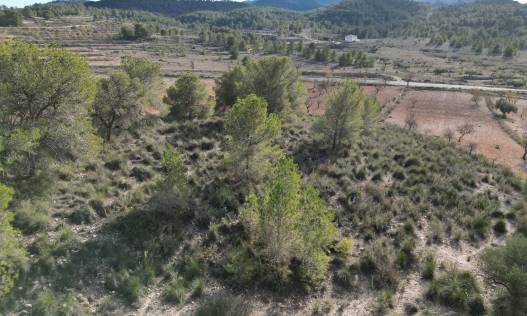 Bestaand - Bouwperceel - La Zarza