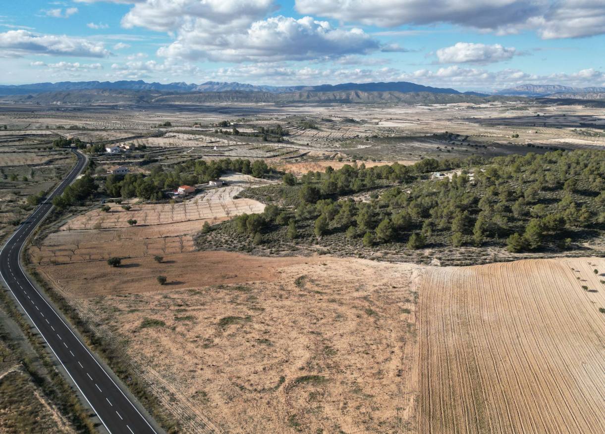 Bestaand - Bouwperceel - La Zarza