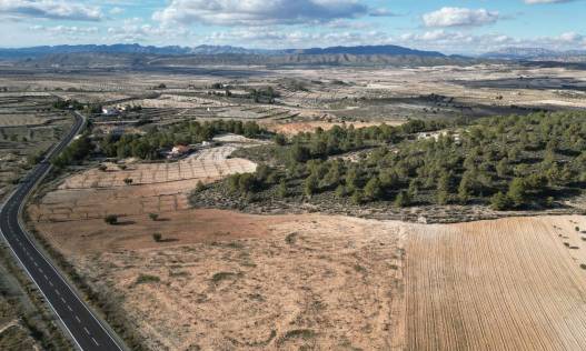 Bestaand - Bouwperceel - La Zarza
