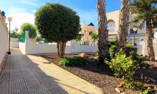 Bestaand - Townhouse / Semi-detached - Torrevieja