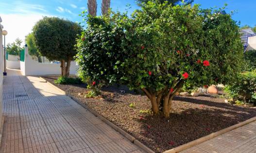 Bestaand - Townhouse / Semi-detached - Torrevieja