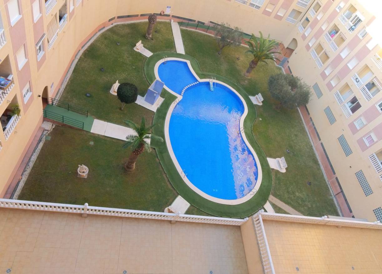 Bestaand - Appartement - Torrevieja - Parque de las Naciones