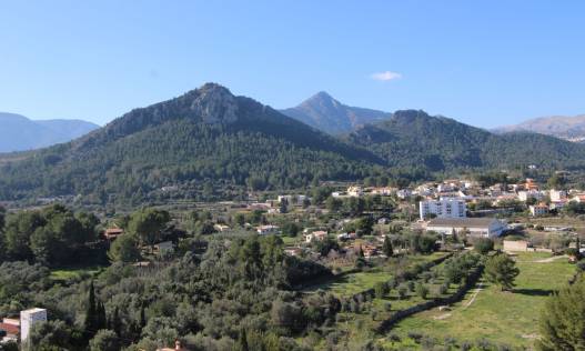 Bestaand - Villa - Orba Valley - Orba Vallei