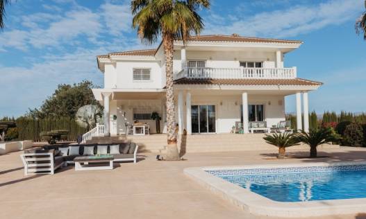 Bestaand - Villa - Elche - Torrellano