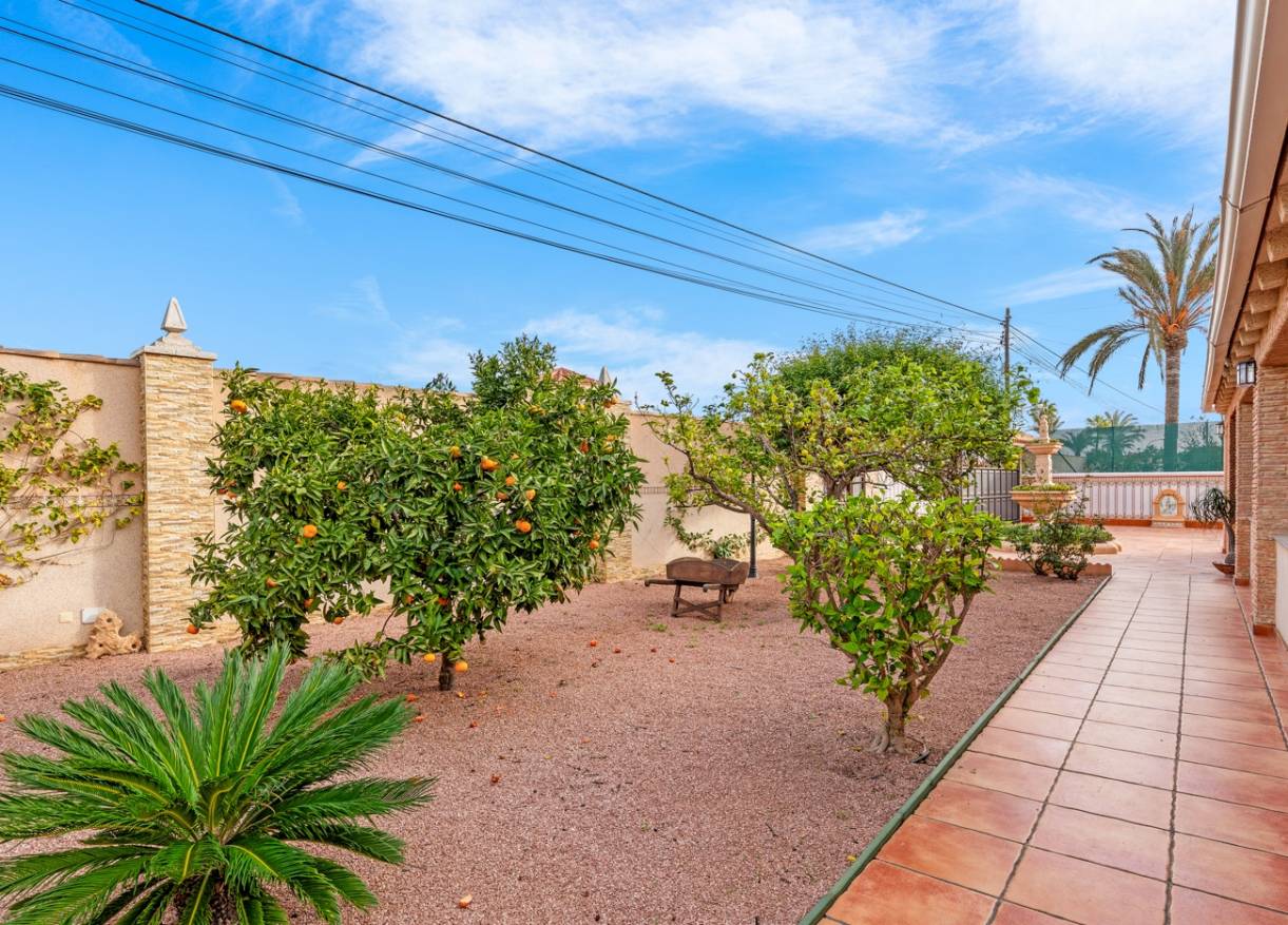 Bestaand - Villa - Torrevieja