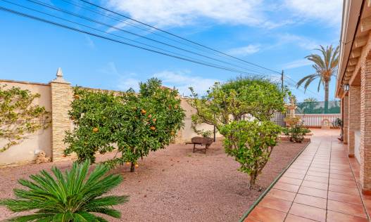 Bestaand - Villa - Torrevieja