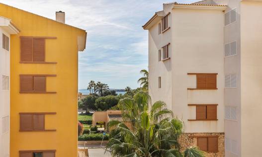 Bestaand - Appartement - Torrevieja