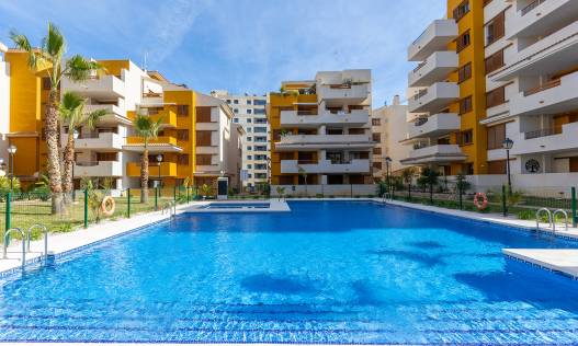 Bestaand - Appartement - Torrevieja