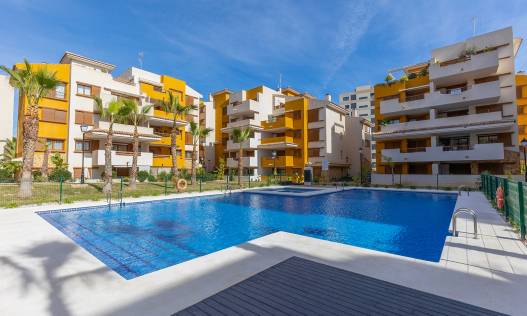 Bestaand - Appartement - Torrevieja