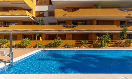 Bestaand - Appartement - Torrevieja