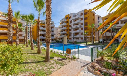 Bestaand - Appartement - Torrevieja