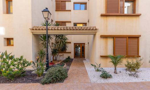 Bestaand - Appartement - Torrevieja