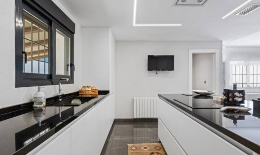 Bestaand - Villa - San Juan Alicante - Frank Espinós