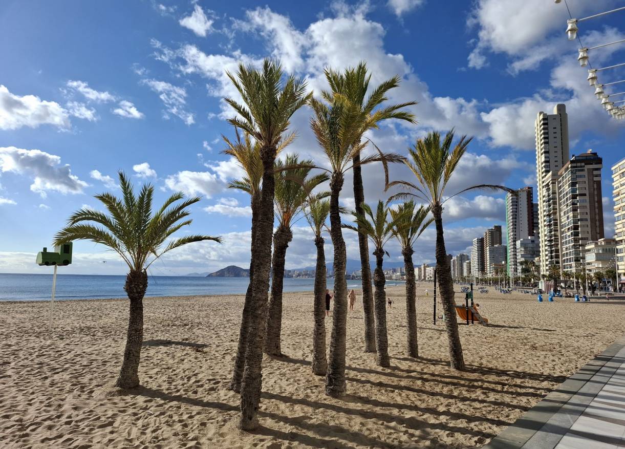 Bestaand - Townhouse / Semi-detached - Benidorm