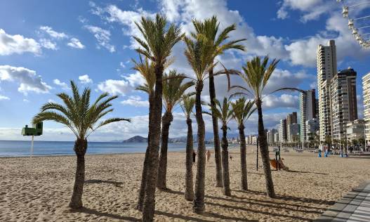 Bestaand - Townhouse / Semi-detached - Benidorm