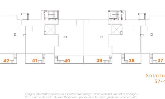 Nieuwbouw - Appartement - San Miguel de Salinas