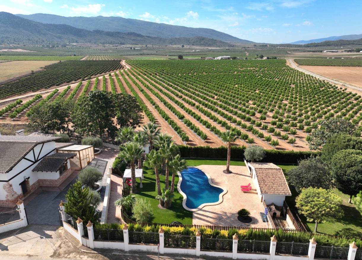 Bestaand - Finca - Yecla