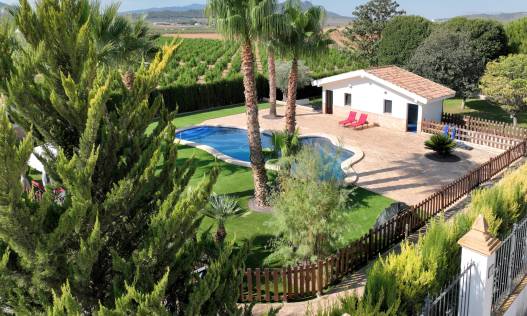 Bestaand - Finca - Yecla