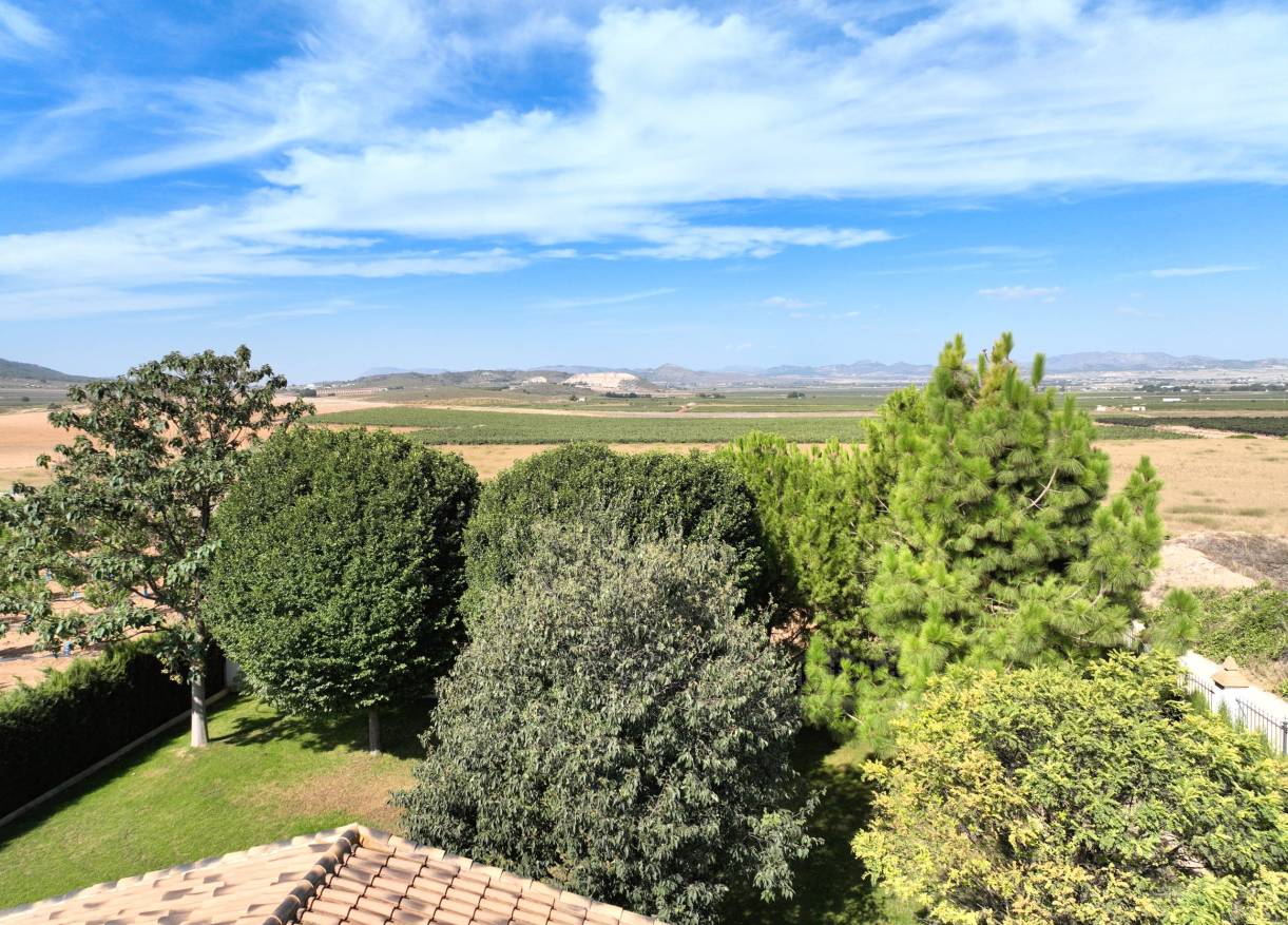 Bestaand - Finca - Yecla
