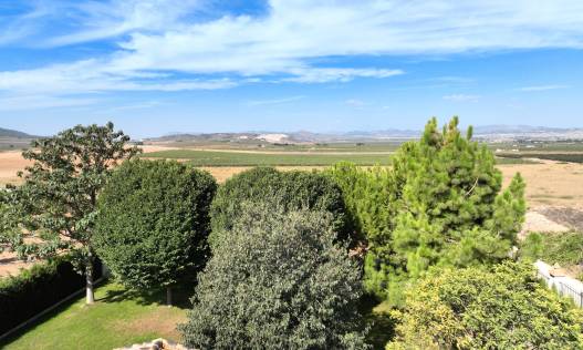 Bestaand - Finca - Yecla
