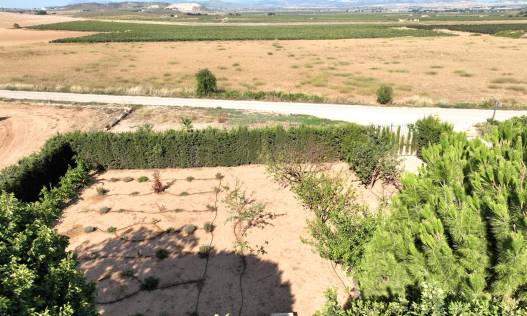 Bestaand - Finca - Yecla