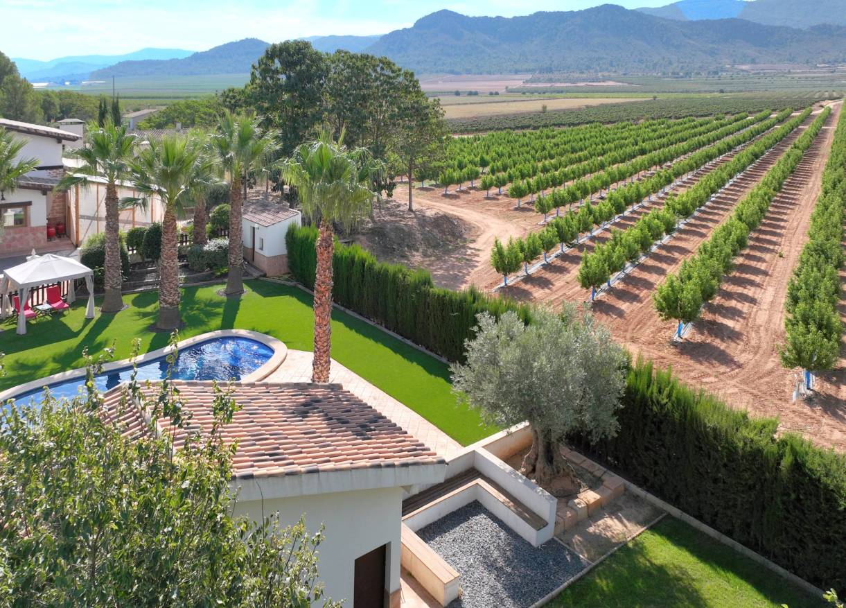 Bestaand - Finca - Yecla
