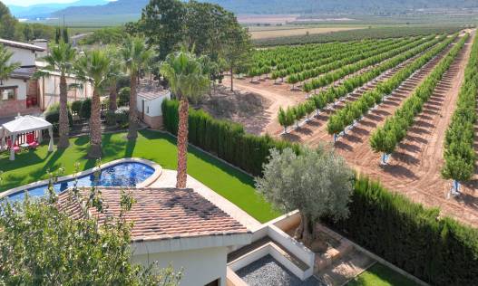 Bestaand - Finca - Yecla