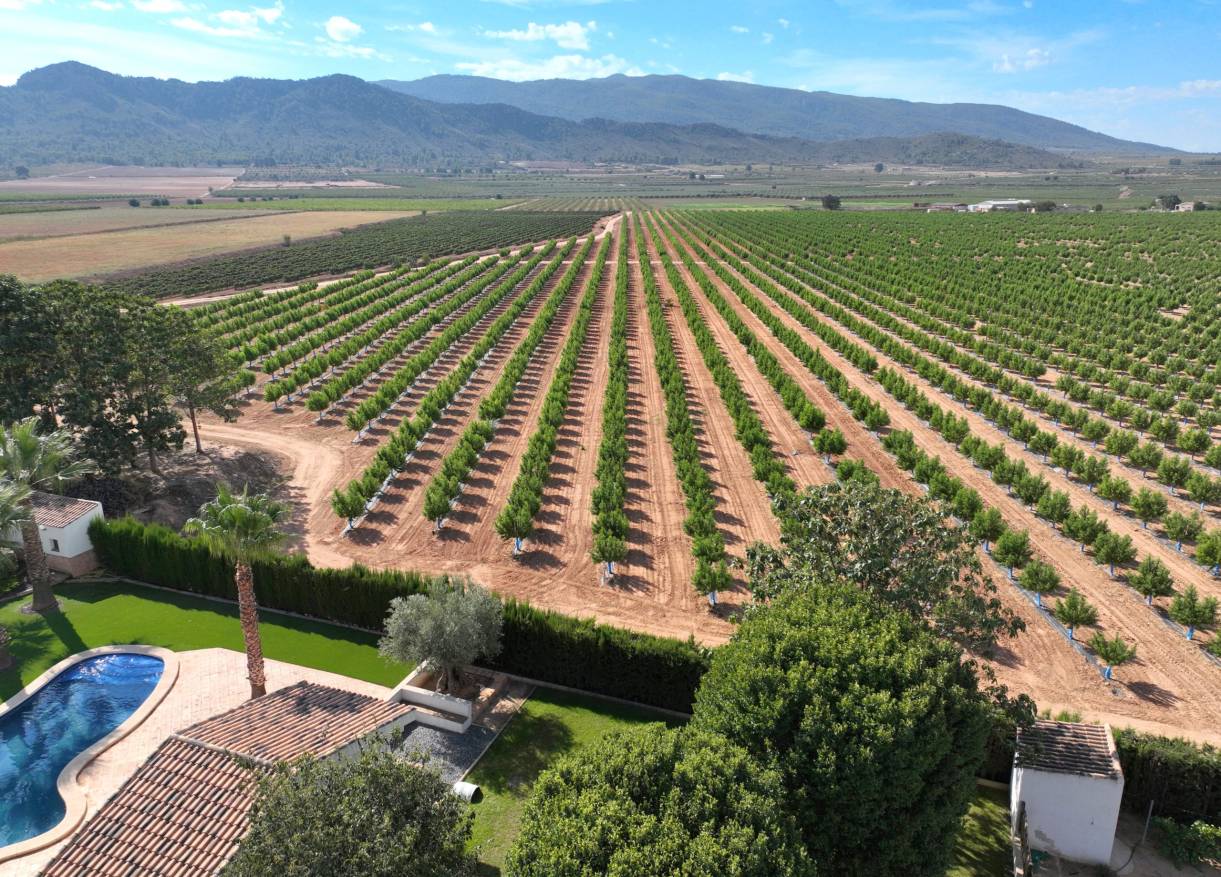 Bestaand - Finca - Yecla
